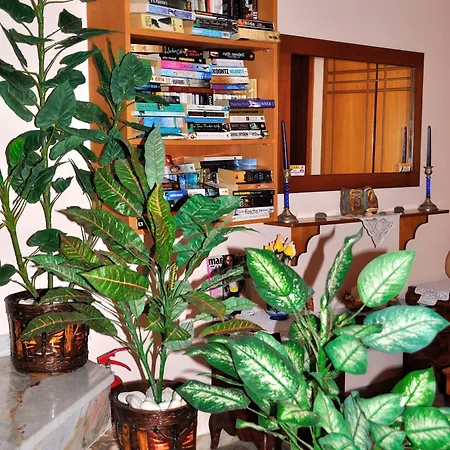 Гостевой дом Ilias - 2*